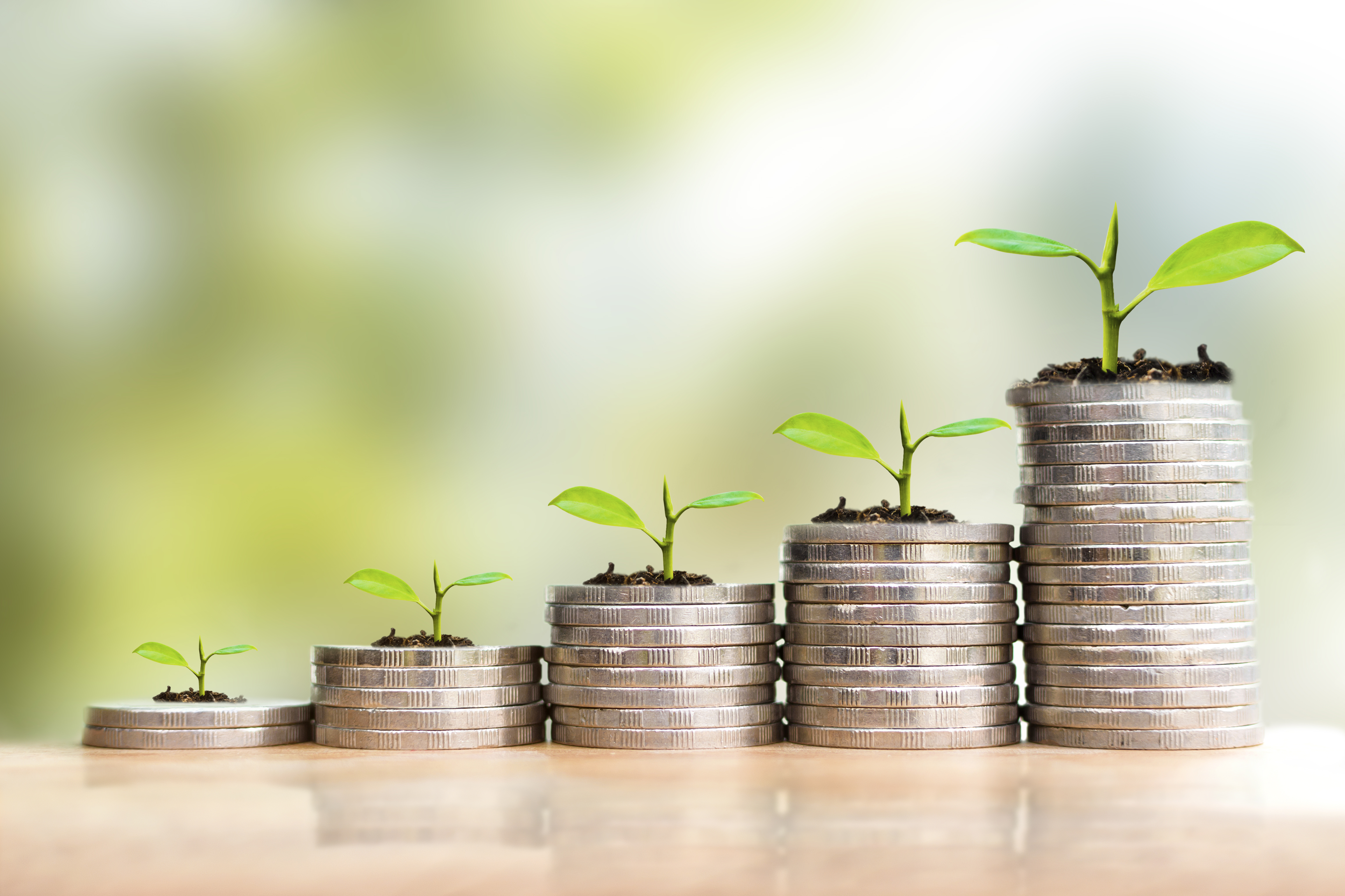 Learn how to build your online business